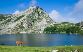 12 Paisajes de españa