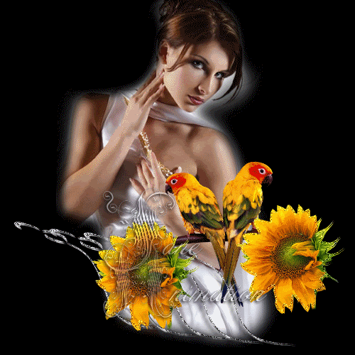 imágenes de gif románticos