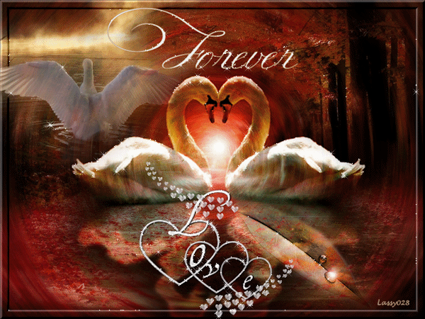 imágenes para compartir