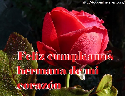 imagenes-de-feliz-cumpleanos-hermana-con-flores-jpg
