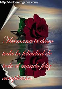 imagenes-de-feliz-cumpleanos-hermana-con-flores-jpg-14