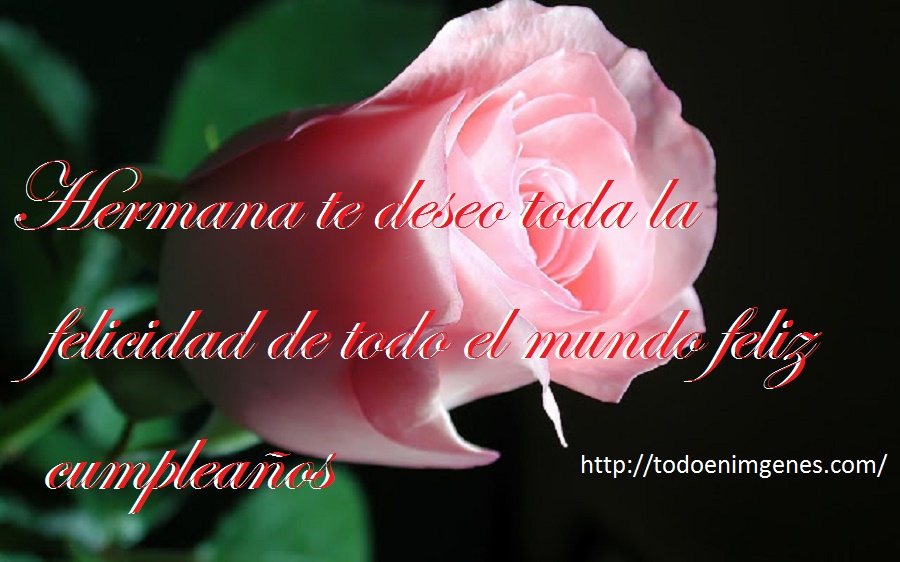 imagenes-de-feliz-cumpleanos-hermana-con-flores-jpg-15