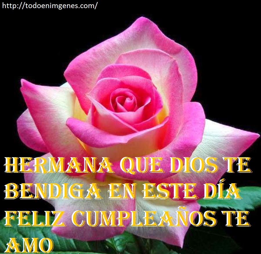 imagenes-de-feliz-cumpleanos-hermana-con-flores-jpg-17