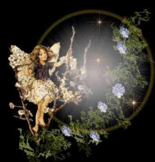 boladuende_zps31f135a6