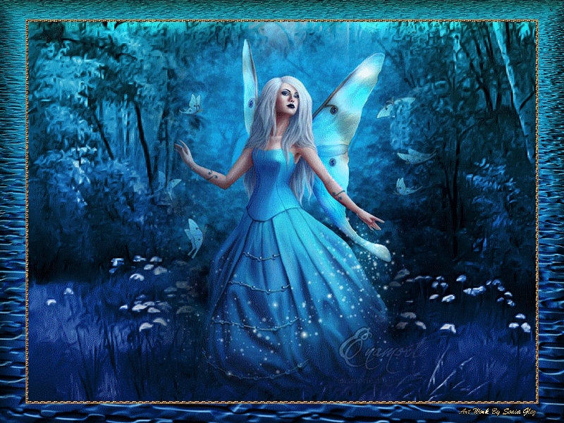 803227FANTASIAENERO143