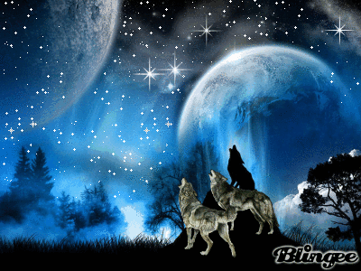 ▷ Gif de lobos aullando