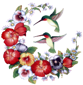 Gifs-animados-de-aves-pajaros-variados (62)_thumb