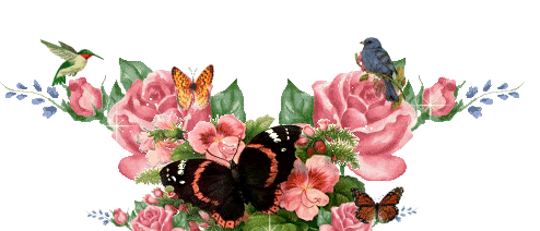 rosas-con-movimiento-4