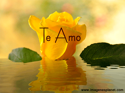 ▷ Gif de rosas amarillas