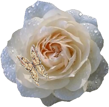 ▷ Gif de rosas hermosas