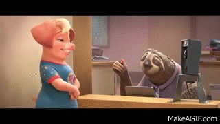 ▷ Gif de zootopia