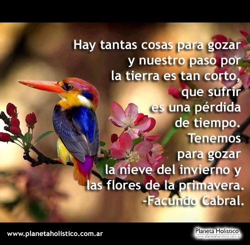 Hay tantas cosas en la vida que sufrir es una pérdida de tiempo frases