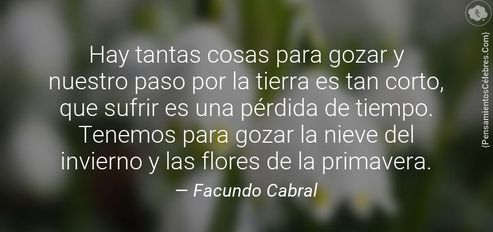 Hay tantas cosas en la vida que sufrir es una pérdida de tiempo frases
