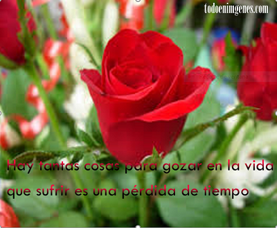 Hay tantas cosas en la vida que sufrir es una pérdida de tiempo frases