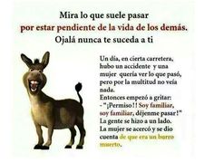 ▷ Imágenes bonitas del burro con frases