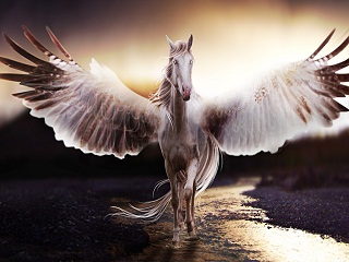 tarot-semanal-jose-totem-caballo-04