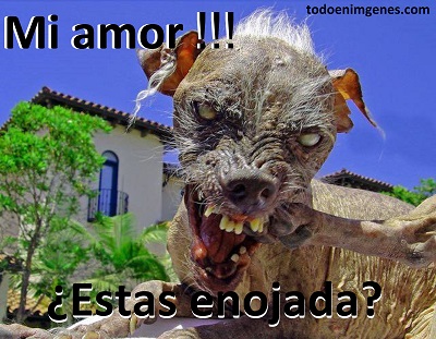 Imágenes chistosas de mi amor estás enojada para dedicar