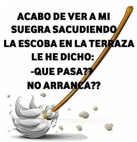 ▷ Imágenes chistosas de mi suegra