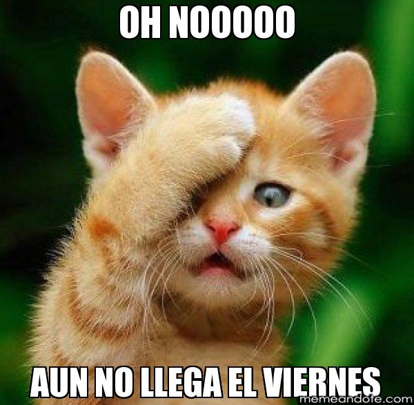 chistosas-de-miercoles-3