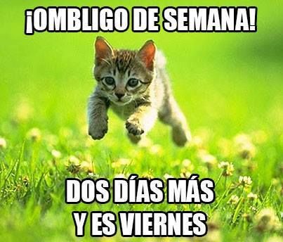 chistosas-de-miercoles-5