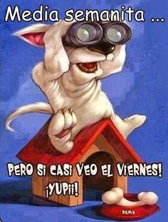 chistosas-de-miercoles-8