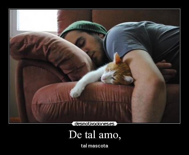 ▷ Imágenes chistosas para facebook