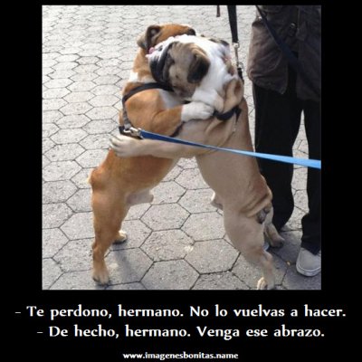 imagenes_chistosas_para_facebook_venga_el_abrazo