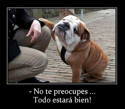 imagenes-chistosas-frases-para-facebook