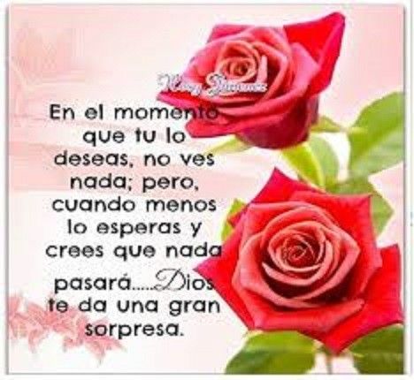 consejos - de - como - superar - la - soledad 4