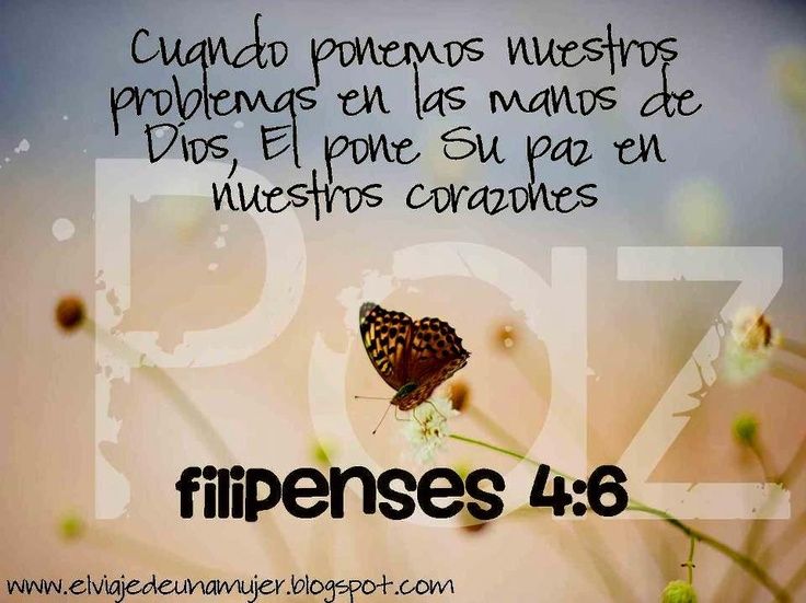 576a65dea94516efb992723ffd75c910