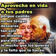 ▷ Imágenes con frases aprovecha en vida a tus padres