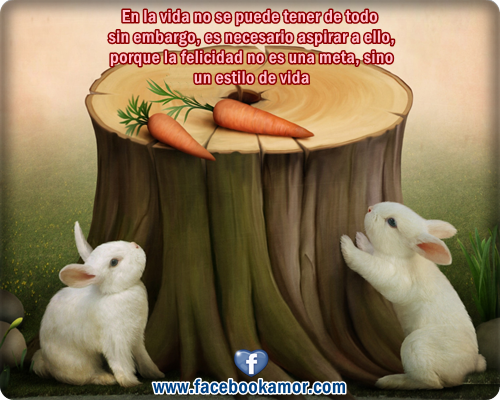 frases-bonitas-para-reflexionar