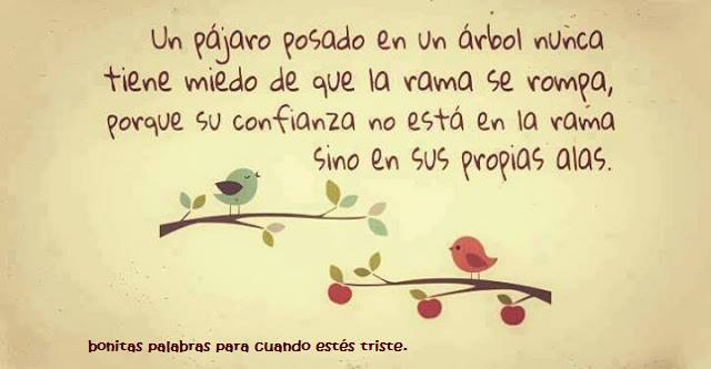 Imágenes con frases bonitas para compartir con amigos