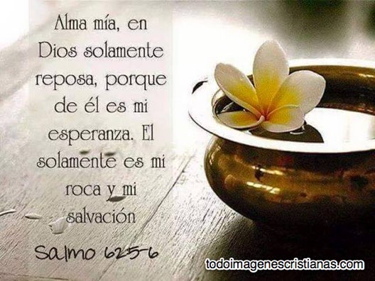 Imágenes con frases cristianas para una amiga enferma para dedicar