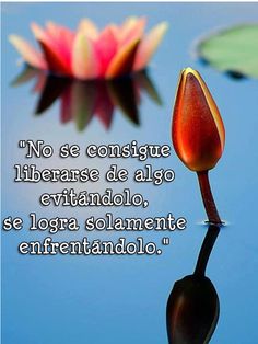 frases-de-ansiedad 7