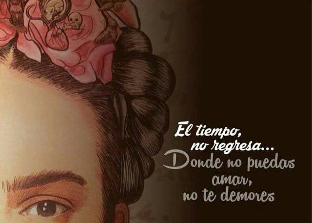 13705125_510505899160593_227603624_n