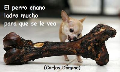 frases-de-soberbia 11