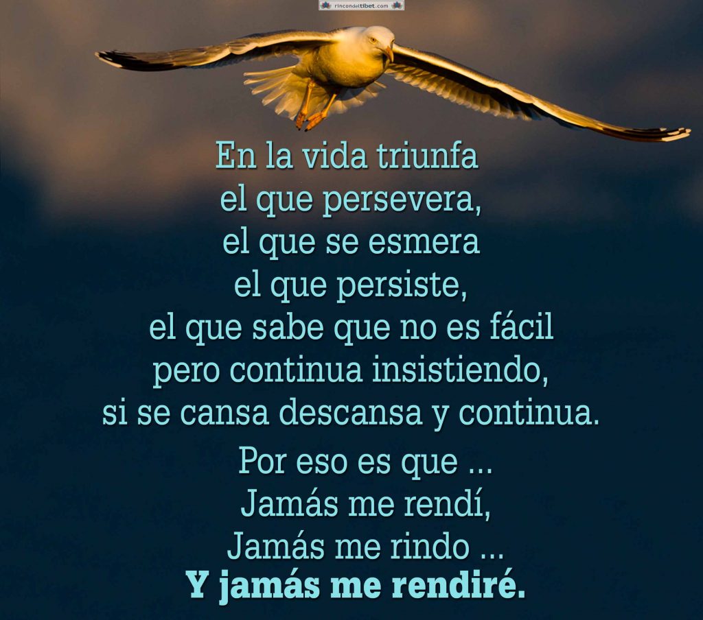 ▷ Imágenes con frases en la vida triunfa el que persevera