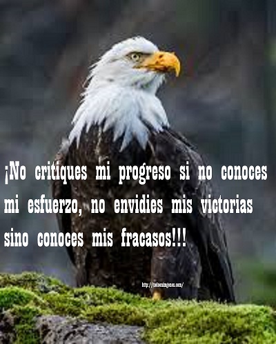 ▷ Imágenes con frases No critiques mi progreso