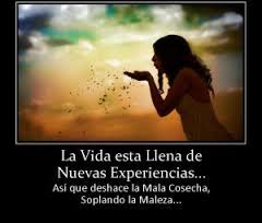 Imágenes con frases para despedirse de un amor