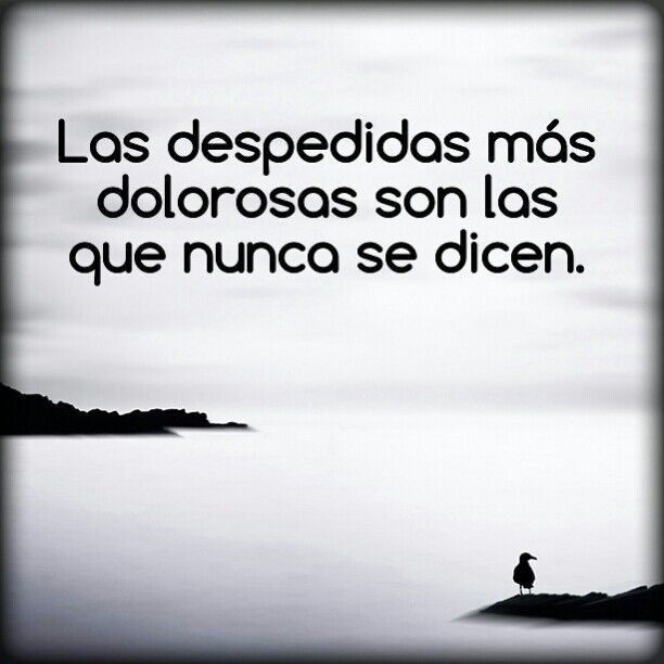 Imágenes con frases para despedirse de un amor para compartir