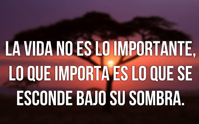 Imágenes con frases para la vida