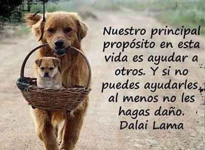 frases-para-toda-nuestra-vida