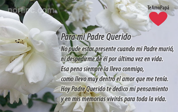 para mi padre querido.