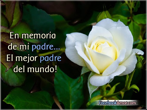 Para un padre fallecido.