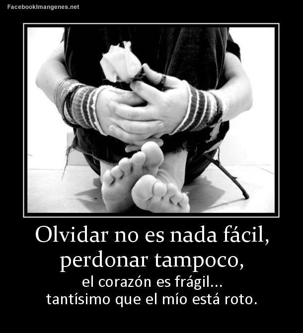 imagen-para-facebook-humor-olvidar-y-perdonar-1413147917c48pl