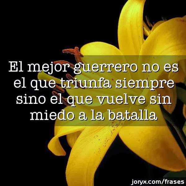 Frases-para-seguir-adelante-