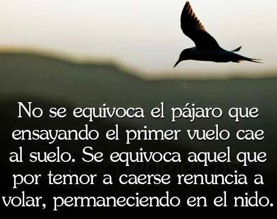 imágenes con bonitas frases para seguir adelante