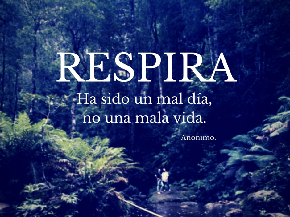 para que puedas seguir adelante