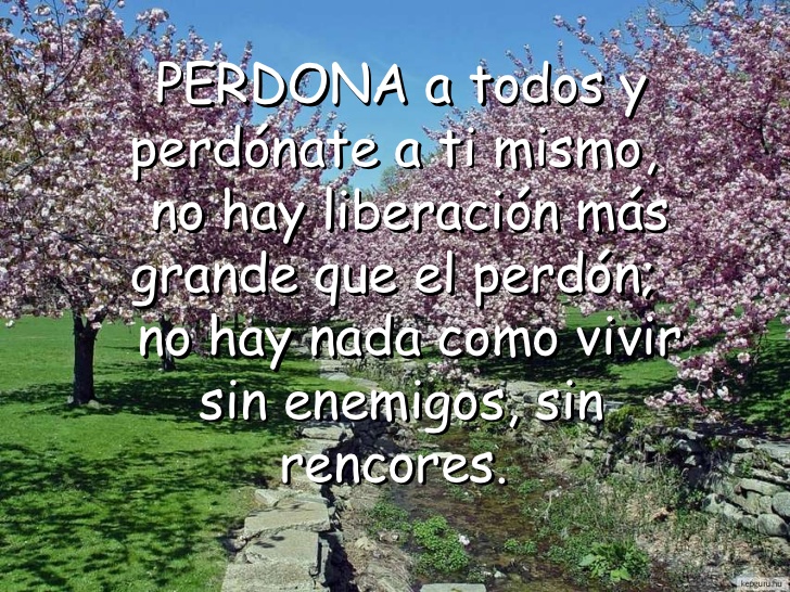 ▷ Imágenes con frases perdonate a ti mismo